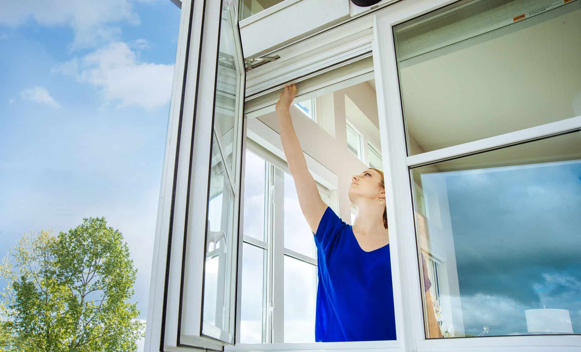 Home - Phantom Fly Screens